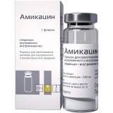 Купить амикацин, порошок для приготовления раствора для внутривенного и внутримышечного введения 1г, флакон в Павлове