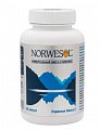 Купить норвесол омега 3, капсулы 500мг 60 шт. бад в Павлове