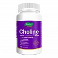 Купить холин 350мг, таблетки массой 1200мг 60 шт бад в Павлове