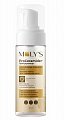 MOLY'S ProCeramide+ (Молис) пенка для умывания, 150мл