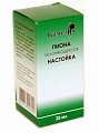 Купить пиона настойка, флакон 25мл в Павлове