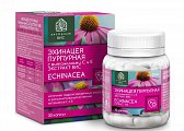 Купить эхинацея пурпурная с витаминами с и е экстракт вис, капсулы массой 350мг, 30 шт бад в Павлове