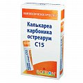 Купить калькареа карбоника остреарум с15, гомеопатический монокомпонентный препарат животного происхождения, гранулы гомеопатические 4 гр в Павлове
