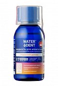 Купить waterdent (вотердент) жидкость для ирригатора утренний детокс + ополаскиватель, 100мл в Павлове