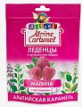Купить alpine caramel (альпийская карамель) леденцы детские малина с медом и витамином с , 75г бад в Павлове