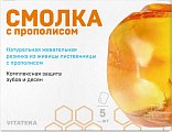 Купить витатека (vitateka) смолка жевательная лиственничная с прополисом, 5 шт  в Павлове