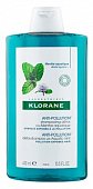 Купить klorane (клоран) шампунь-детокс с экстрактом водной мяты, 400мл в Павлове