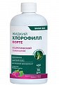 Купить snow sea хлорофилл форте жидкий со вкусом малины и мяты, 450 мл бад в Павлове
