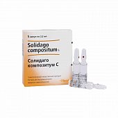 Купить солидаго композитум с, раствор для внутримышечного введения гомеопатический 2,2мл, ампулы 5шт в Павлове